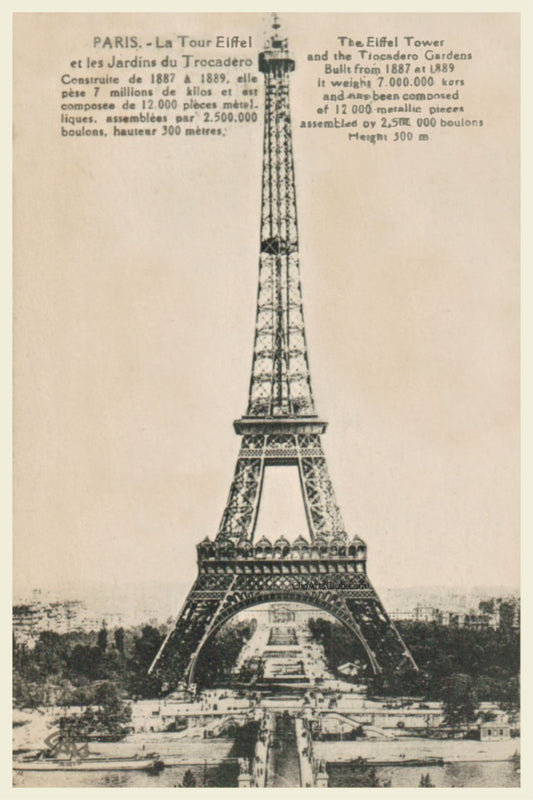 Paris Eiffel Tower Vintage Postcard