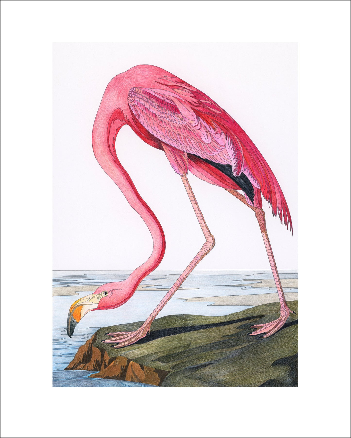 Beautiful Vintage Flamingo Print 8x11 ready to frame