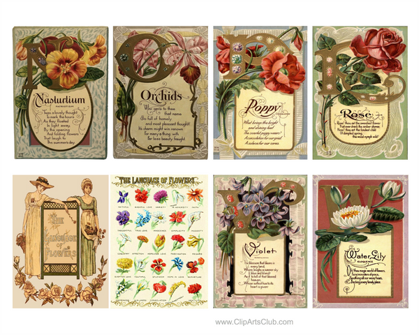 The Language of Flowers - Collage Sheet ATC Cards #2 Printable