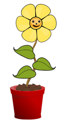 6 Yellow Flower Pot Flowers