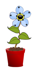 7 Blue Flower Pot Flowers