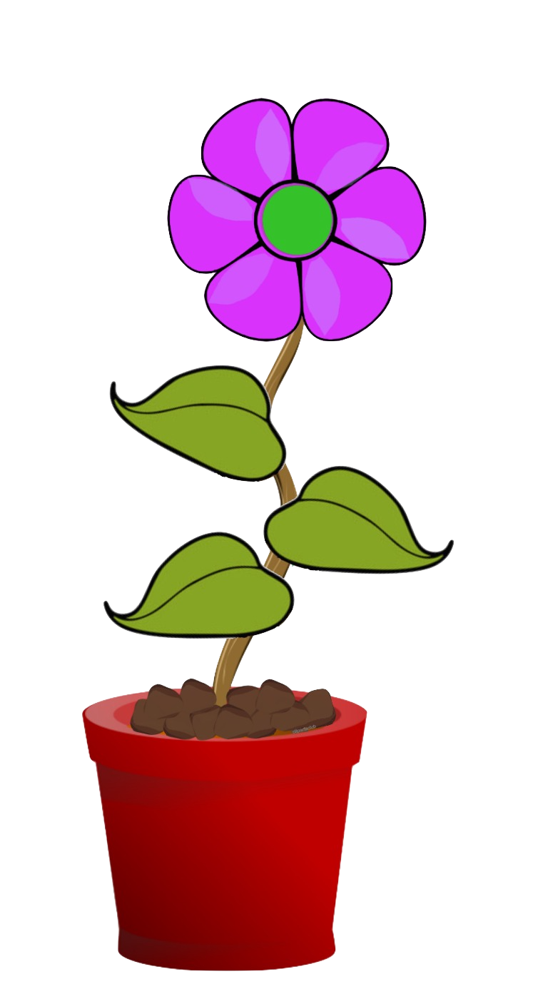 4 Purple Flower Pot Flowers