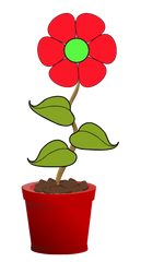 4 Red Flower Pot Flowers