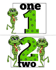Teachers Classroom Kit - Teaching Number 1-10 Frogs