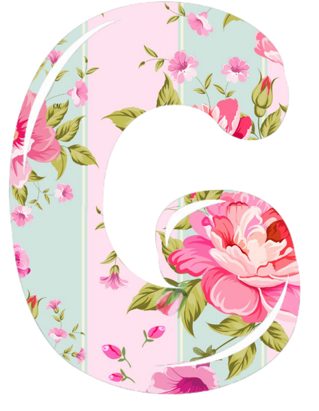 Letter G Beautiful Letter in Deb's Shabby Chic Pink Roses