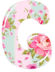 Letter G Beautiful Letter in Deb's Shabby Chic Pink Roses