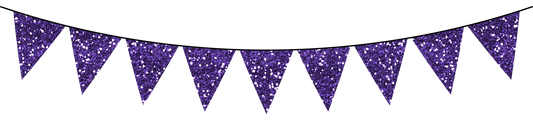 Glitter Bunting Flag Banner - Purple