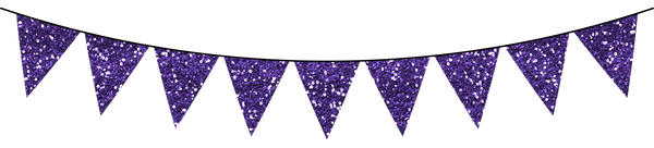Glitter Bunting Flag Banner - Purple