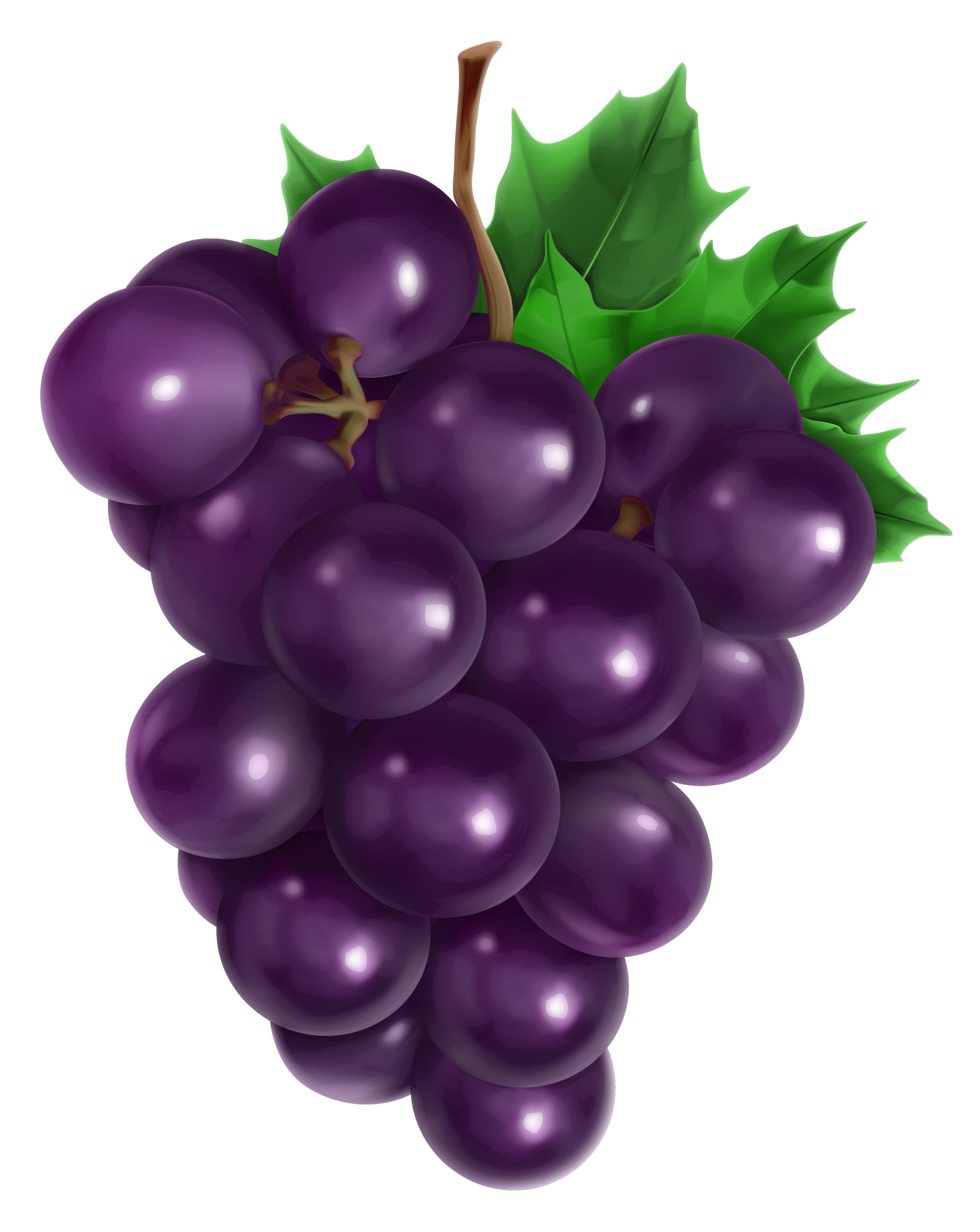 Grapes - Shiny Purple