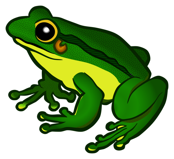 Frog