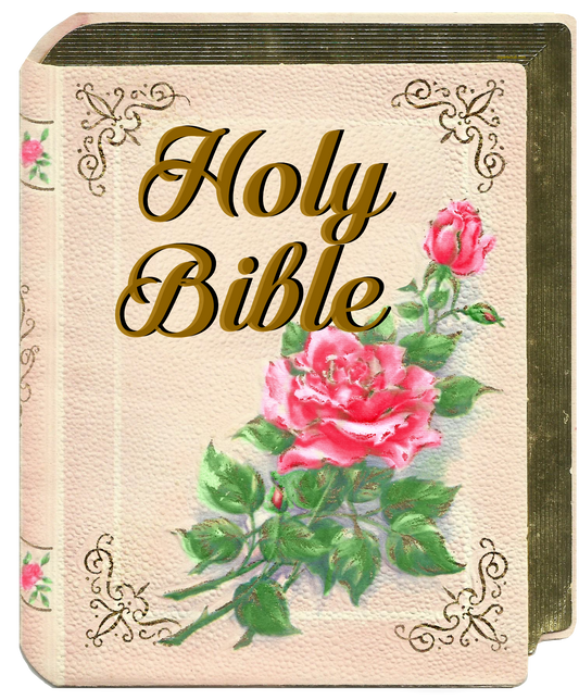 Holy Bible - Beautiful Vintage Holy Bible with Roses