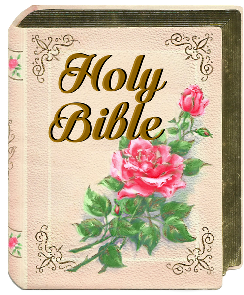Holy Bible - Beautiful Vintage Holy Bible with Roses
