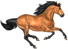Horse  - Mustang - Brown & Black Running