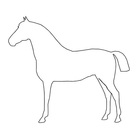 Horse Pattern White