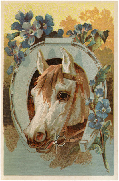 Horse & Horseshoe Vintage Postcards & 2 Beautiful Horses Printable Collage Sheet