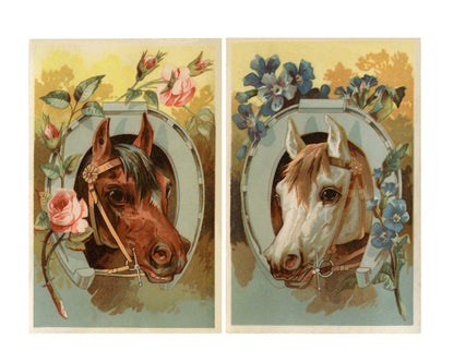 Horse & Horseshoe Vintage Postcards & 2 Beautiful Horses Printable Collage Sheet