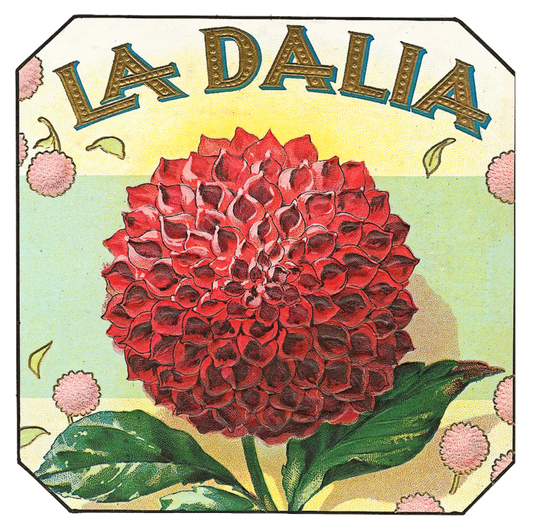 La Dalia Vintage Label
