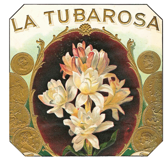 La Tubarose Gold Cigar Label