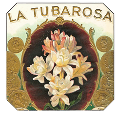 La Tubarose Gold Cigar Label