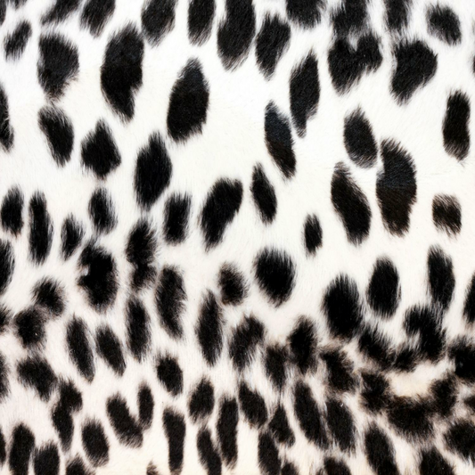 Black & White Leopard Fur 12x12 Background