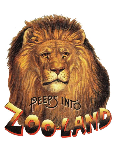 Lion "Peeps Into Zoo Land"