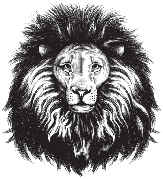 Lion Head Black & White