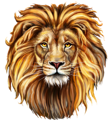 Lion Head Royal regal beautiful lion in png image