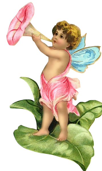 Beautiful Little Fairy - Vintage Fairy PNG image transparent back