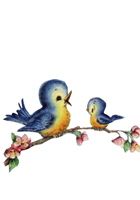 Mommy & Baby Blue birds on a Branch