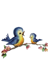 Mommy & Baby Blue birds on a Branch