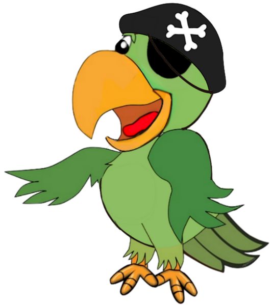 Parrot Pirate With Pirate Hat