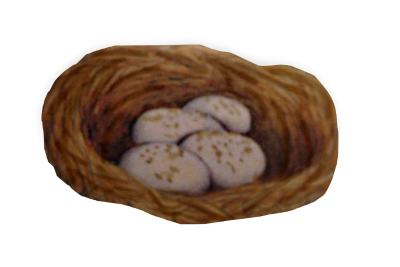 Bird Nest With Brown Speckled Eggs
