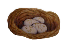 Bird Nest With Brown Speckled Eggs