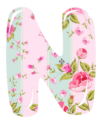 Letter N Beautiful Letter in Deb's Shabby Chic Pink Roses