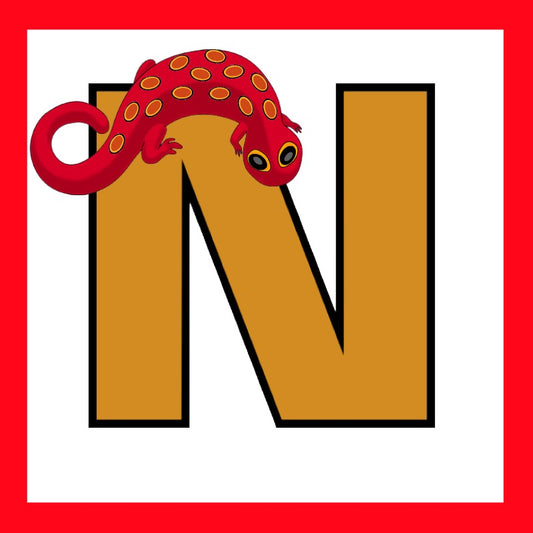 N - Newt- alphabet Square - Design by DAguilar