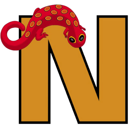 N Letter - Newt PNG format