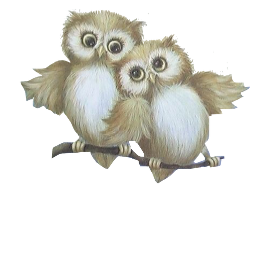 Two Little Owls