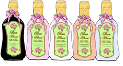 Paris Fleurs De Ritz Beauty Lotion Set #1 - Scroll to see 5 Separate  images