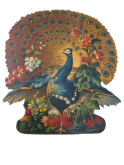 Peacock In Full Spray - Beautiful vintage Bird