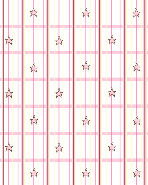 Baby Stars #2 & Plaid Background 8X10  - Plaid Collection