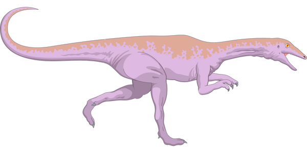 Pink Dinosaur