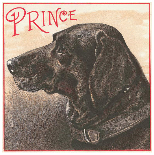 Prince - Dog Ephemera