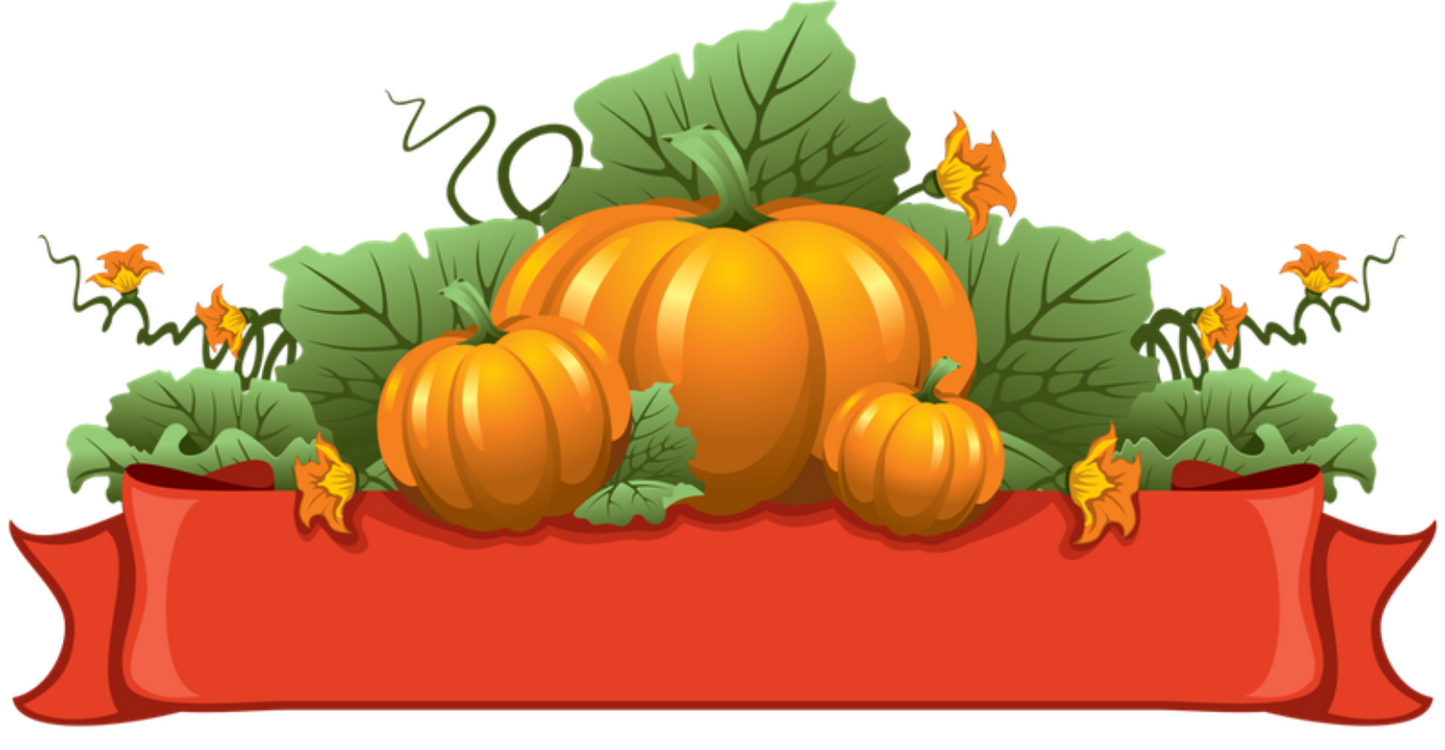 ShinyPumpkins with leaves & curly's on Orange Banner - Fall, Thanksgiving or Halloween
