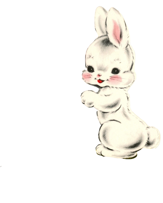 Rabbit - Adorable Vintage White Rabbit