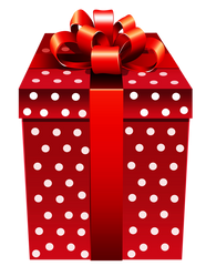 20 Red Presents - Gifts Wrapped Birthday Bundle