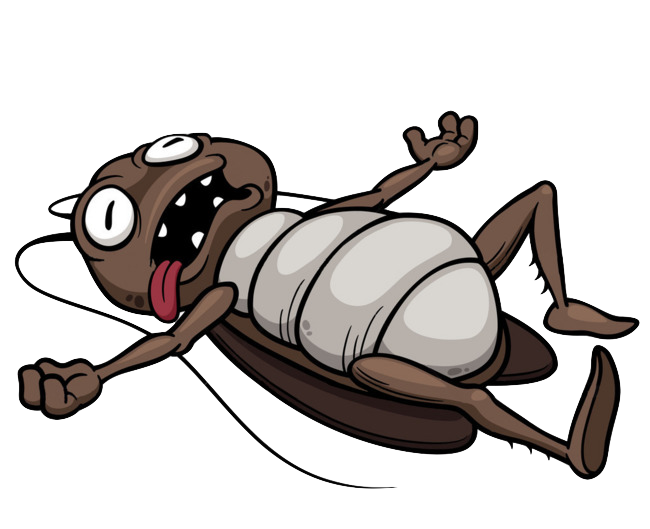 Roach Bug