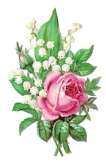 Vintage Rose on White Background with lily of the valley white flowers