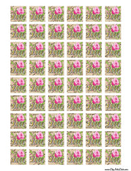 Beautiful Rose Love 1" Squares Collage Sheet