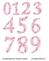 Shabby Chic Pink Rose Garland Numbers Set