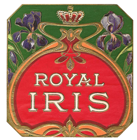 Royal Iris Cigar Label - Vintage Ephemera
